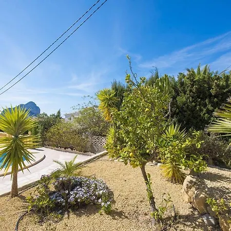 Cactus - Plusholidays Ifach