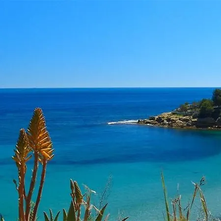 Cactus - Plusholidays Villa