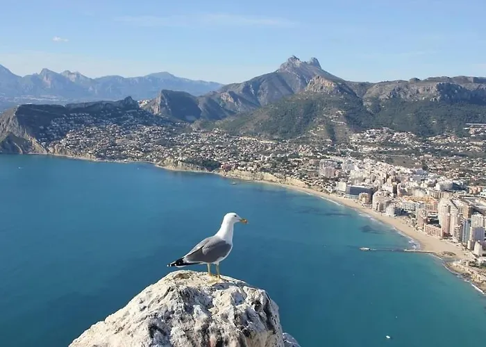 Cactus - Plusholidays Villa *