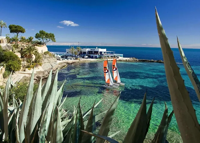 Cactus - Plusholidays