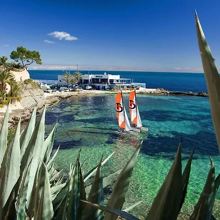 Cactus - Plusholidays